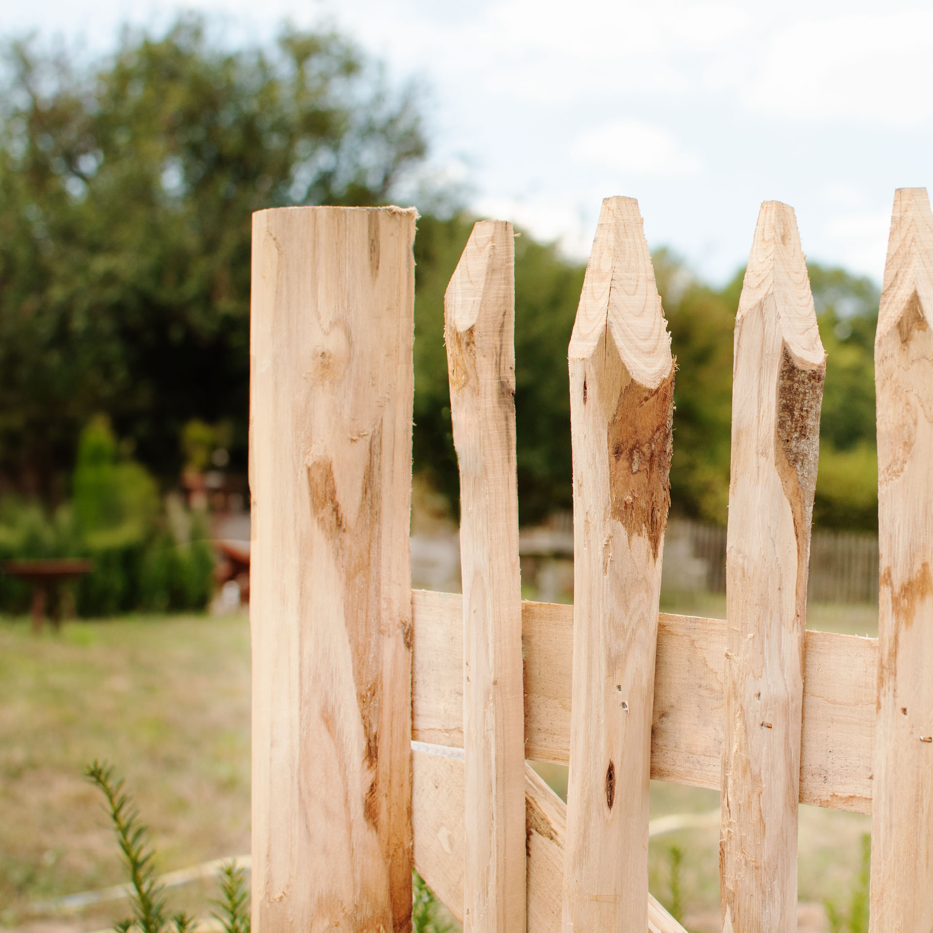 Schapenhek poort (gespijkerde versie), kastanje ,