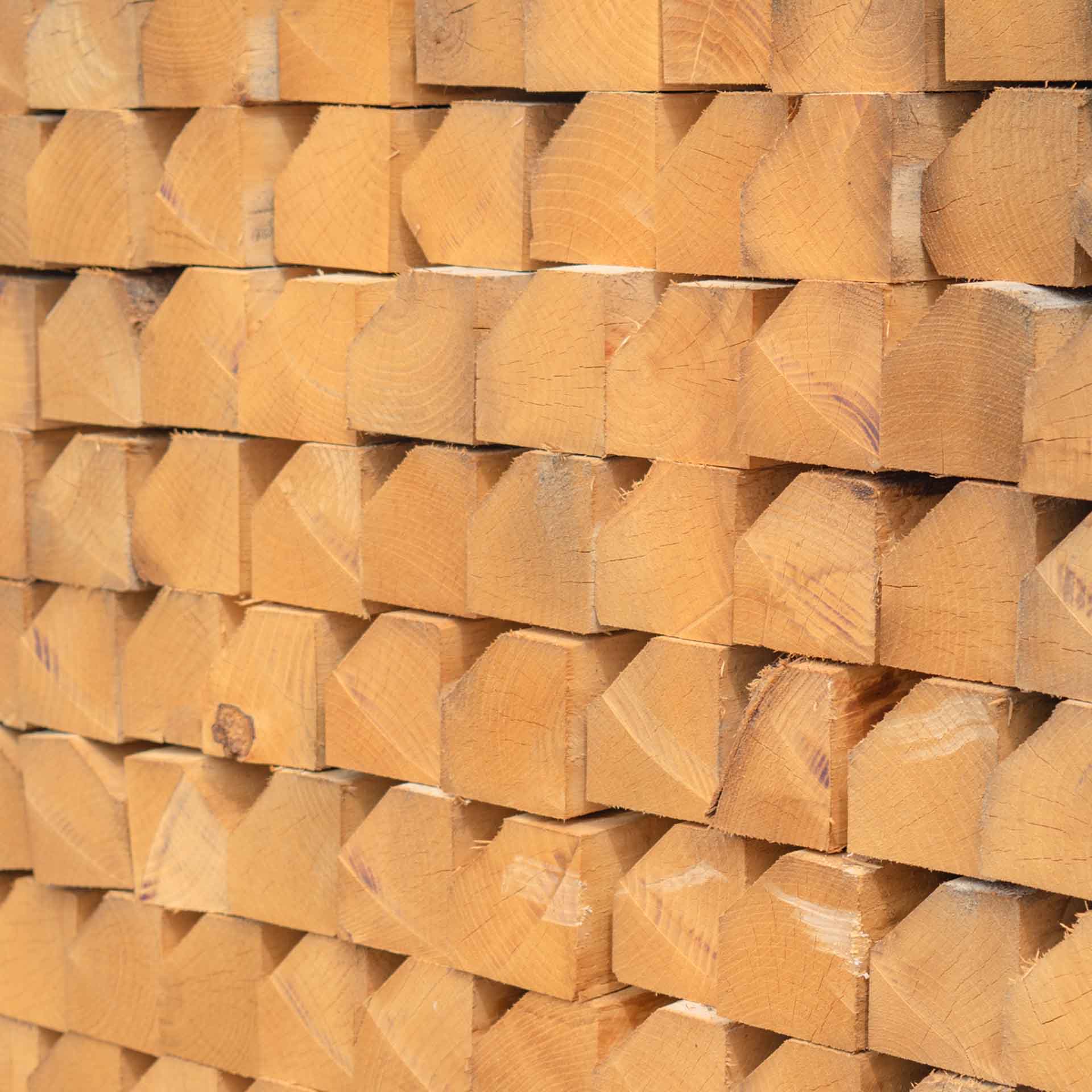 Vijfhoekige kastanje paal, 120 cm lang, diameter 6-8 cm