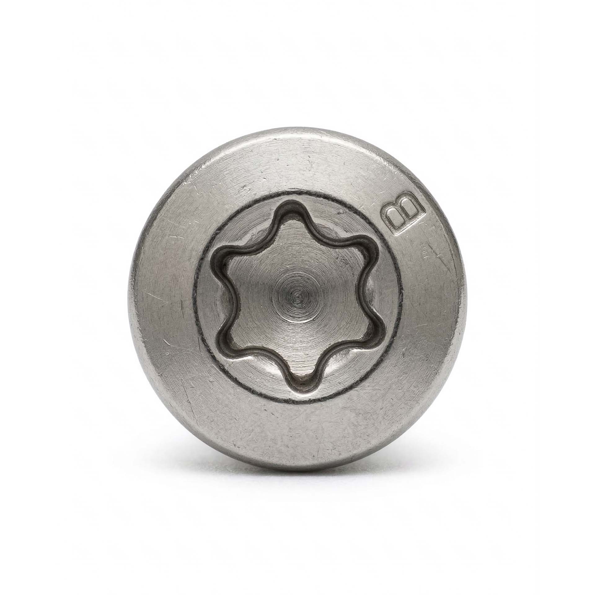 Premium roestvrijstalen schroef met boorkop (100 stuks, 5x70 mm, Torx) voor bevestiging van polderhek/heuvelhek